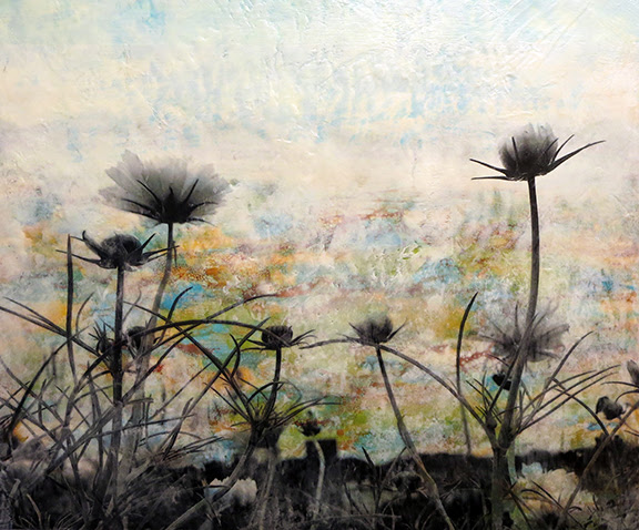 Re-Imagined Landscapes: Jodi Reeb