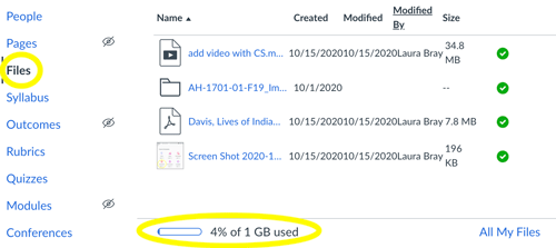 screenshot of Canvas Files section