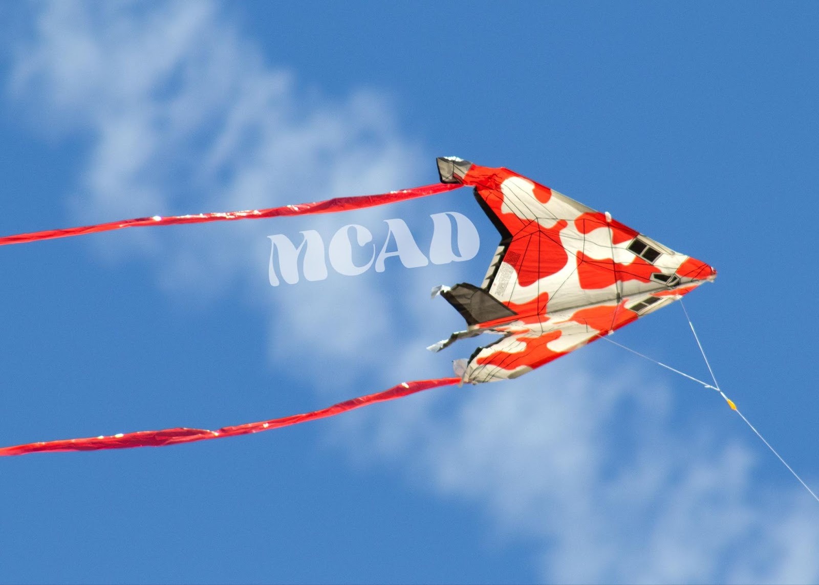 Nicole Reiling, Beach Kite